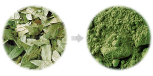 green tea