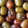 Beans Milling and Grinding Solution 