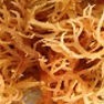 Carrageen Milling and Grinding Solution 
