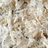 Chitin Milling and Grinding Solution 