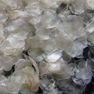 Collagen Milling and Grinding Solution 