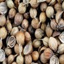Coriander Milling and Grinding Solution 