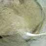 Fiberglass Milling and Grinding Solution 