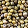 Green Bean Milling and Grinding Solution 