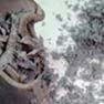 Leather Waste Milling and Grinding Solution 