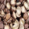 Lotus Seed Milling and Grinding Solution 