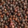 Mustard Milling and Grinding Solution 