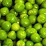 Pea Milling and Grinding Solution 