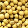 Soybean Milling and Grinding Solution 