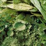 Tea Powder (Raw Tea or Tea Bags) Milling and Grinding Solution 