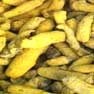 Turmeric Milling and Grinding Solution 