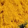Turmeric Milling and Grinding Solution 