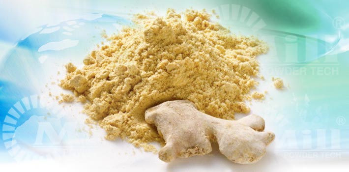 ginger and ginger powder