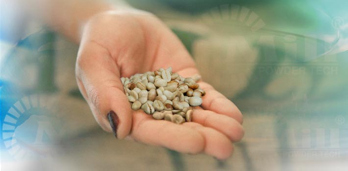 raw coffee bean